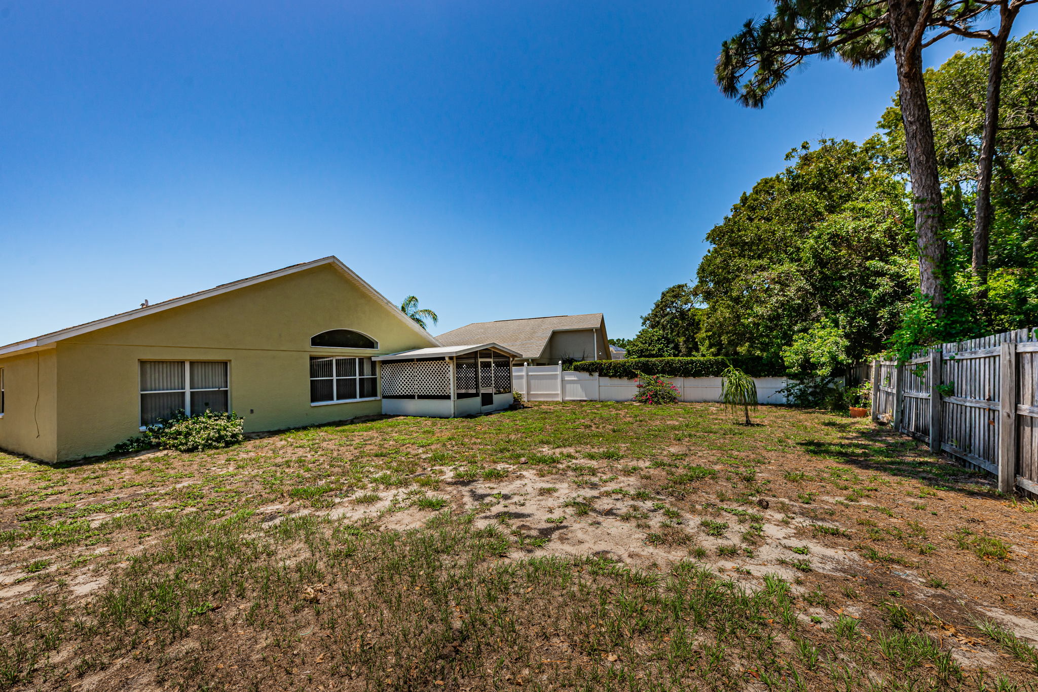 Backyard4-5