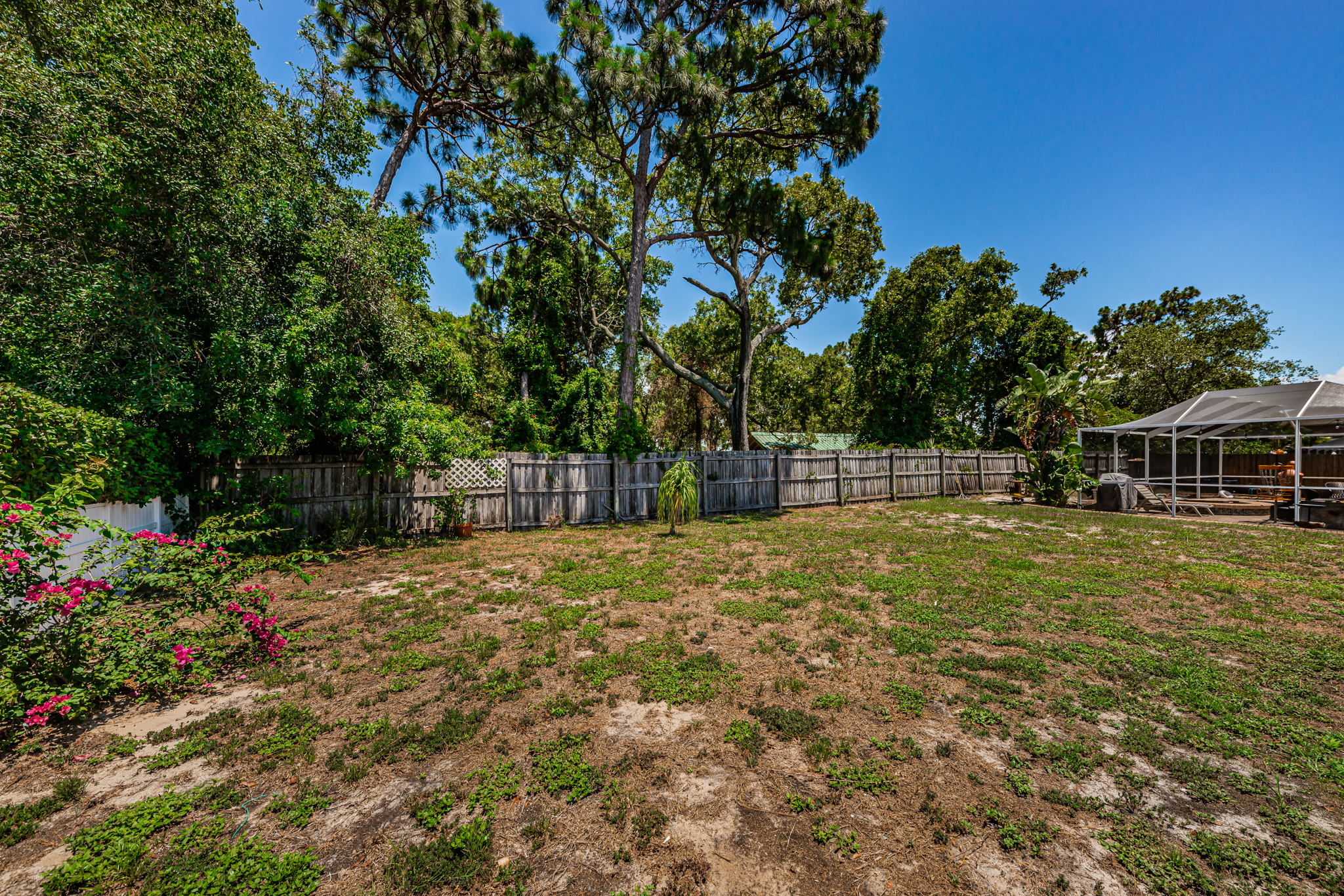 Backyard1-5