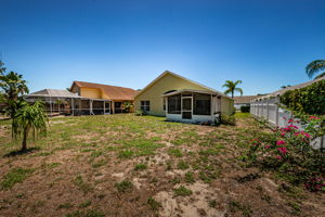 Backyard2-5
