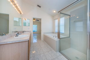 Master Bathroom1c