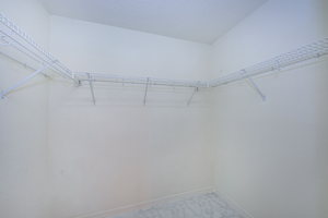 Master Bedroom Walk-in Closet