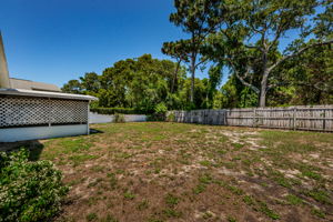Backyard5-4