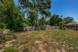 Backyard1-5