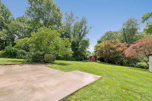 Rear Yard