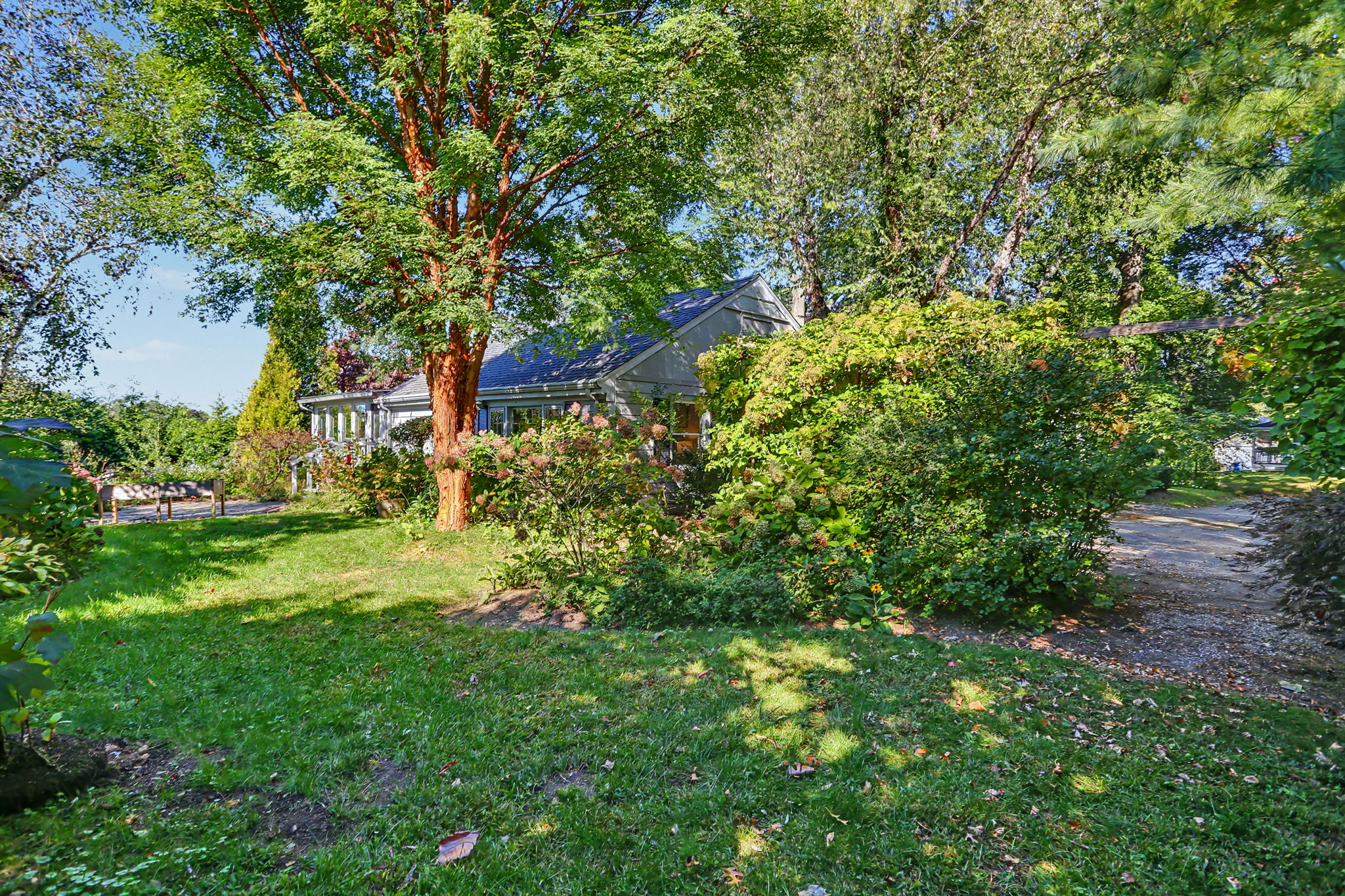 45