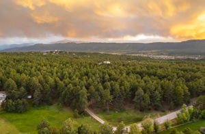 Aerial