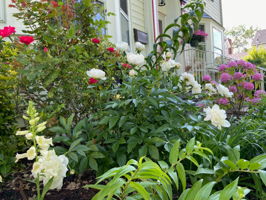  Photo 36
