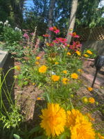  Photo 46