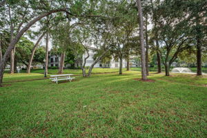 Backyard5
