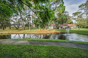 Backyard9