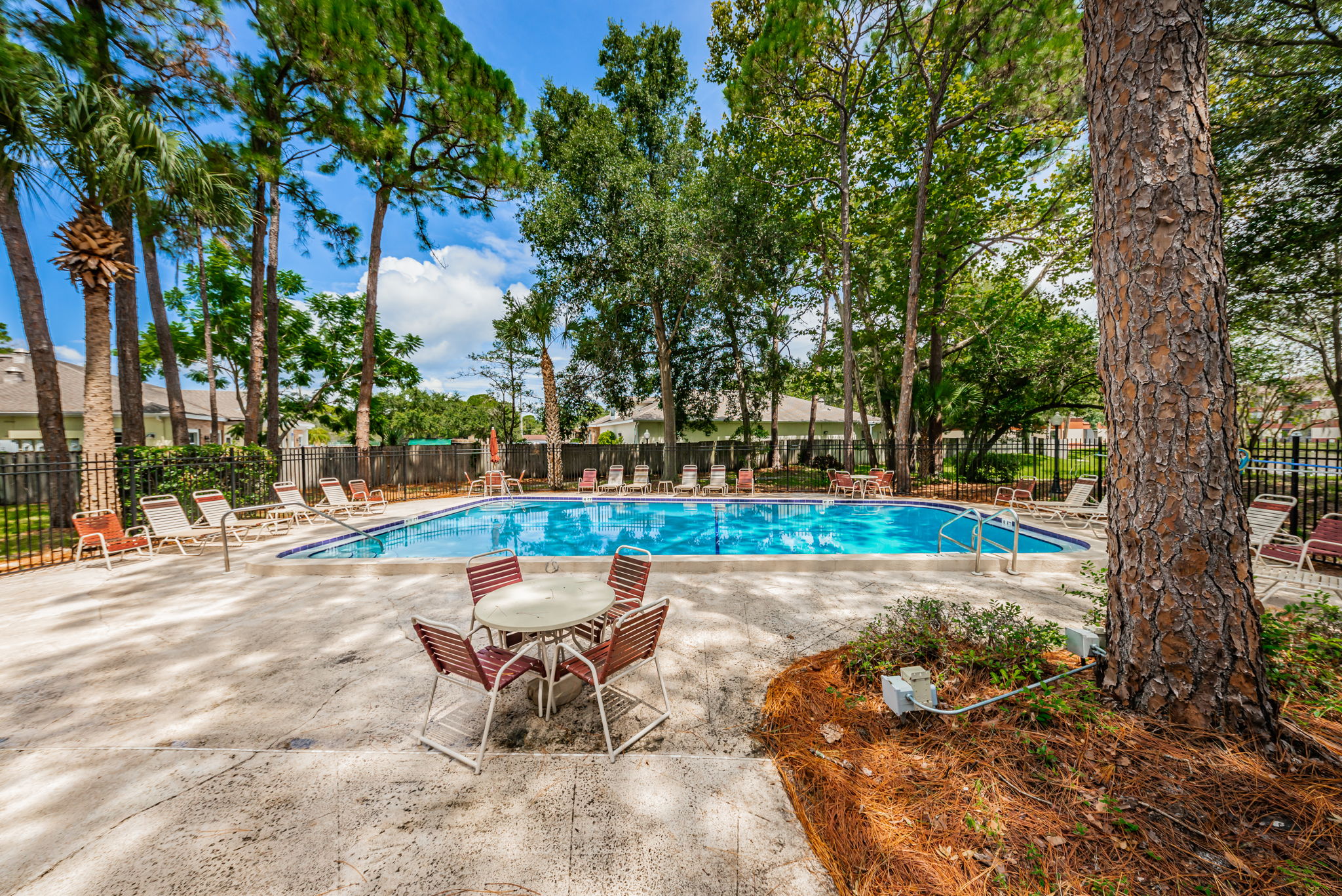 8-Pool and Patio
