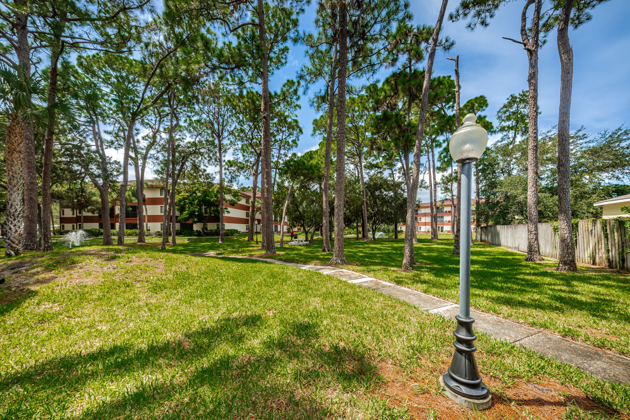 19-Walking Trail