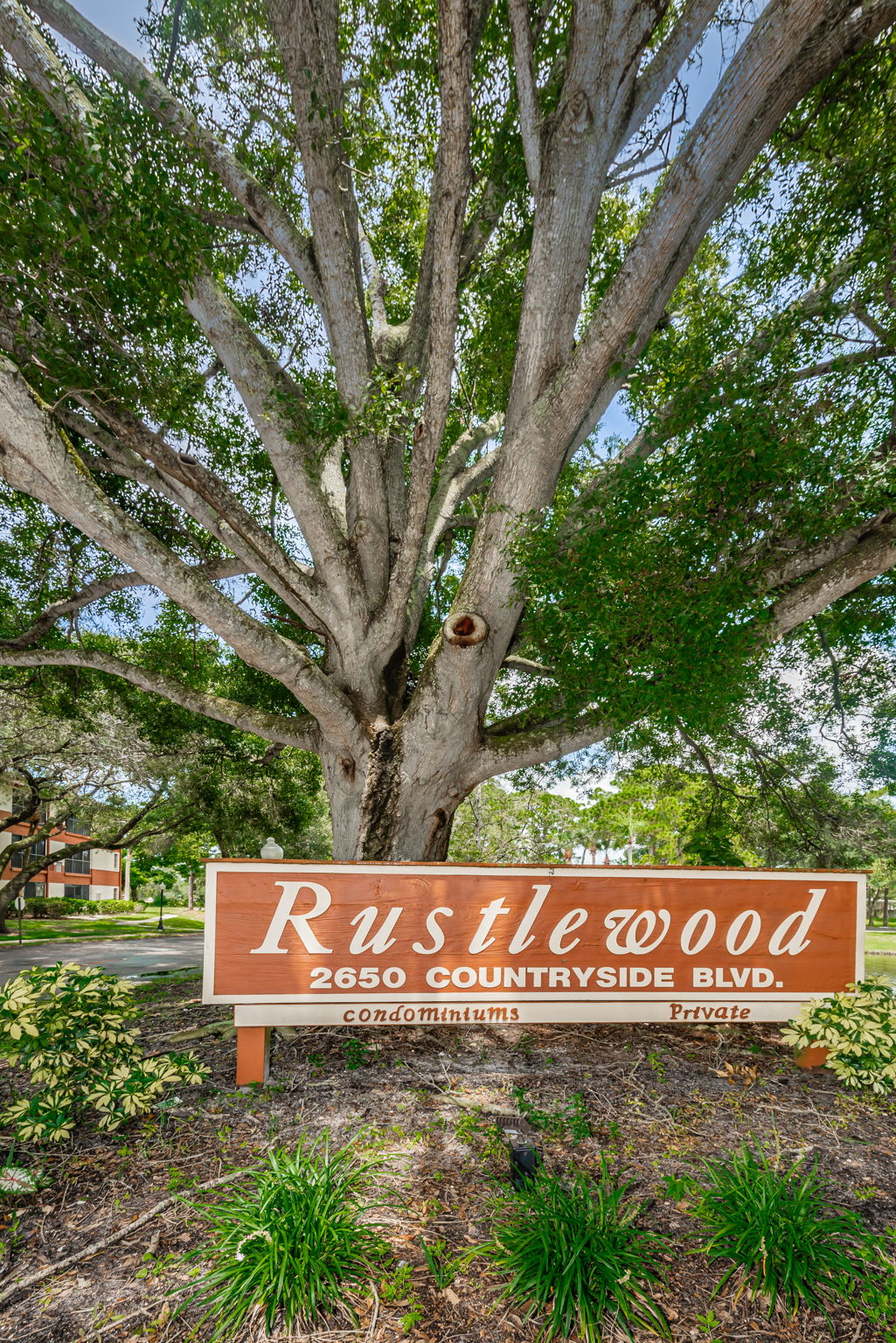 2-Rustlewood