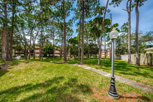 19-Walking Trail