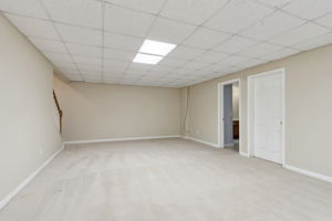 Finished Basement