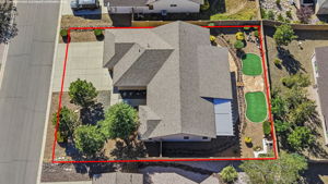 Birds Eye Lot Line