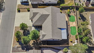Birds Eye