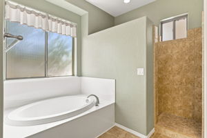 Primary Bathroom 2