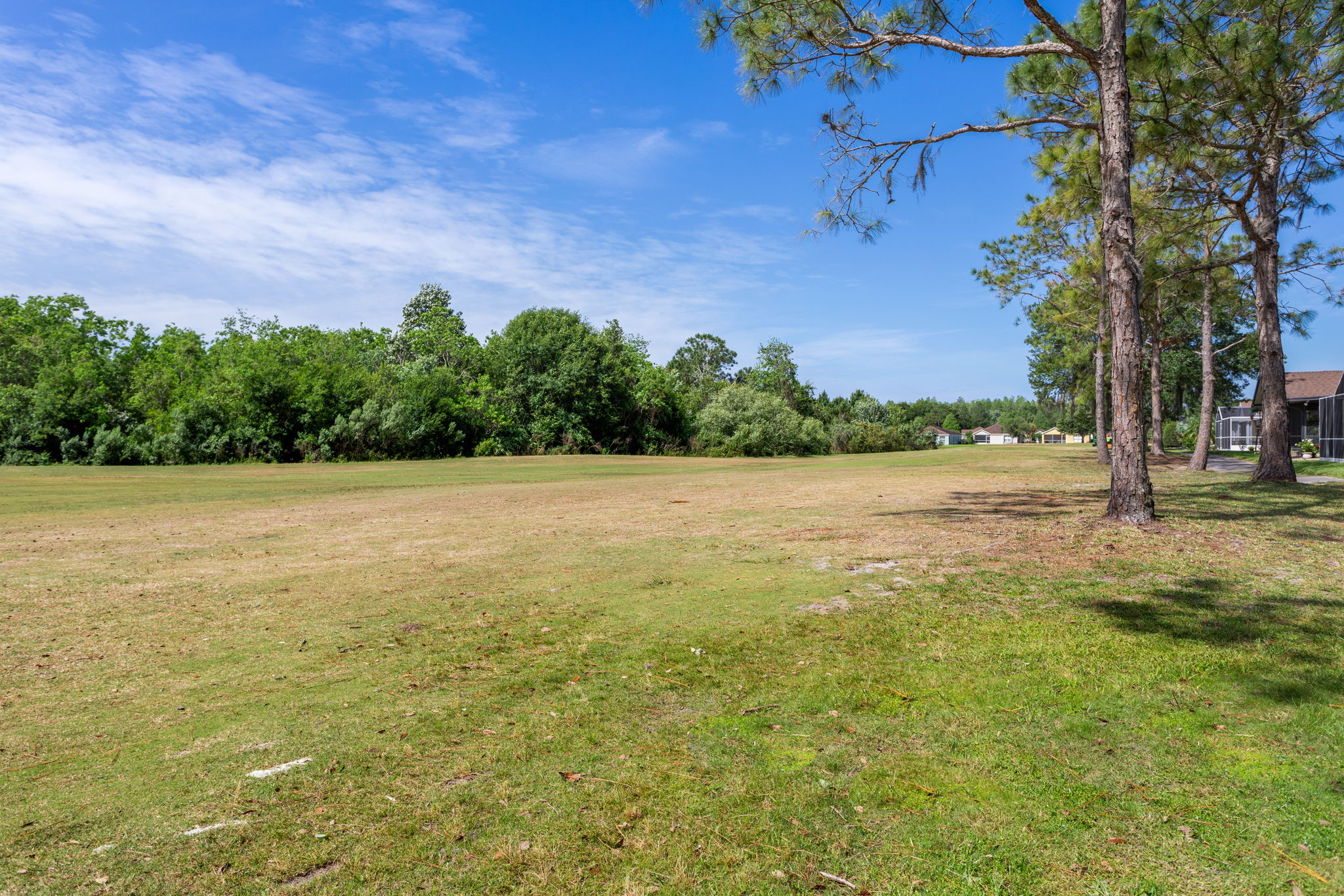 26542 Whirlaway Terrace, Zephyrhills, FL 33544 HDS Real Estate
