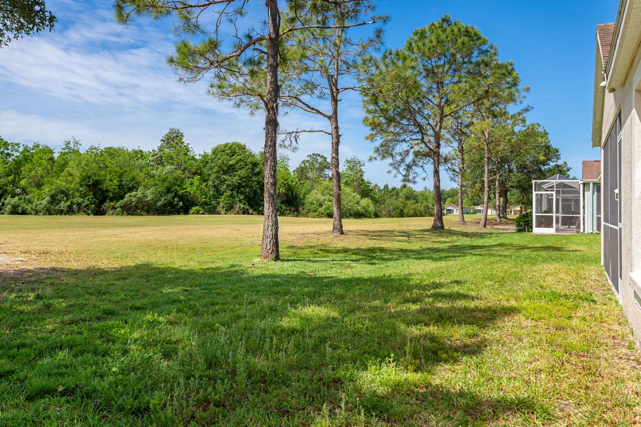 26542 Whirlaway Terrace, Zephyrhills, FL 33544 HDS Real Estate