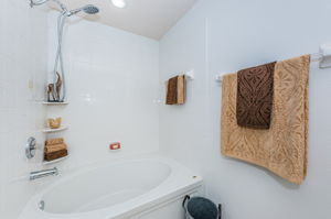 Master Bathroom1b