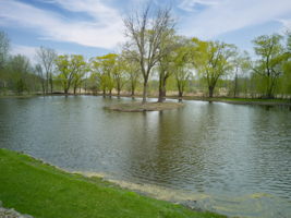 2658 Bartylla Ct, White Bear Lake, MN 55110, USA Photo 38