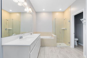 Downstairs Primary suite bath.
