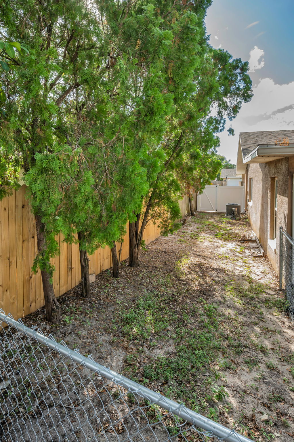 Backyard5