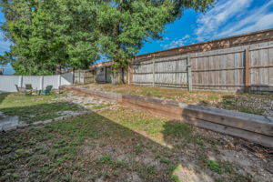 Backyard6