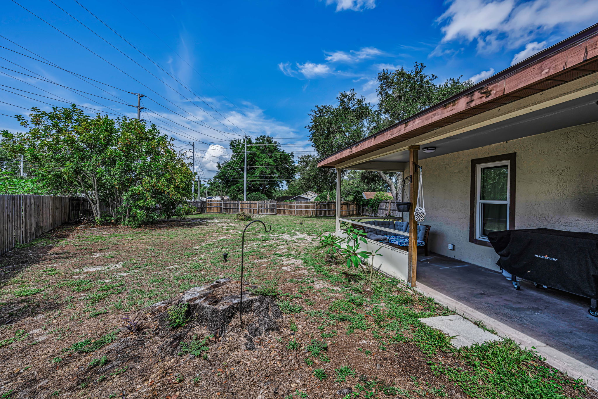 Backyard 1