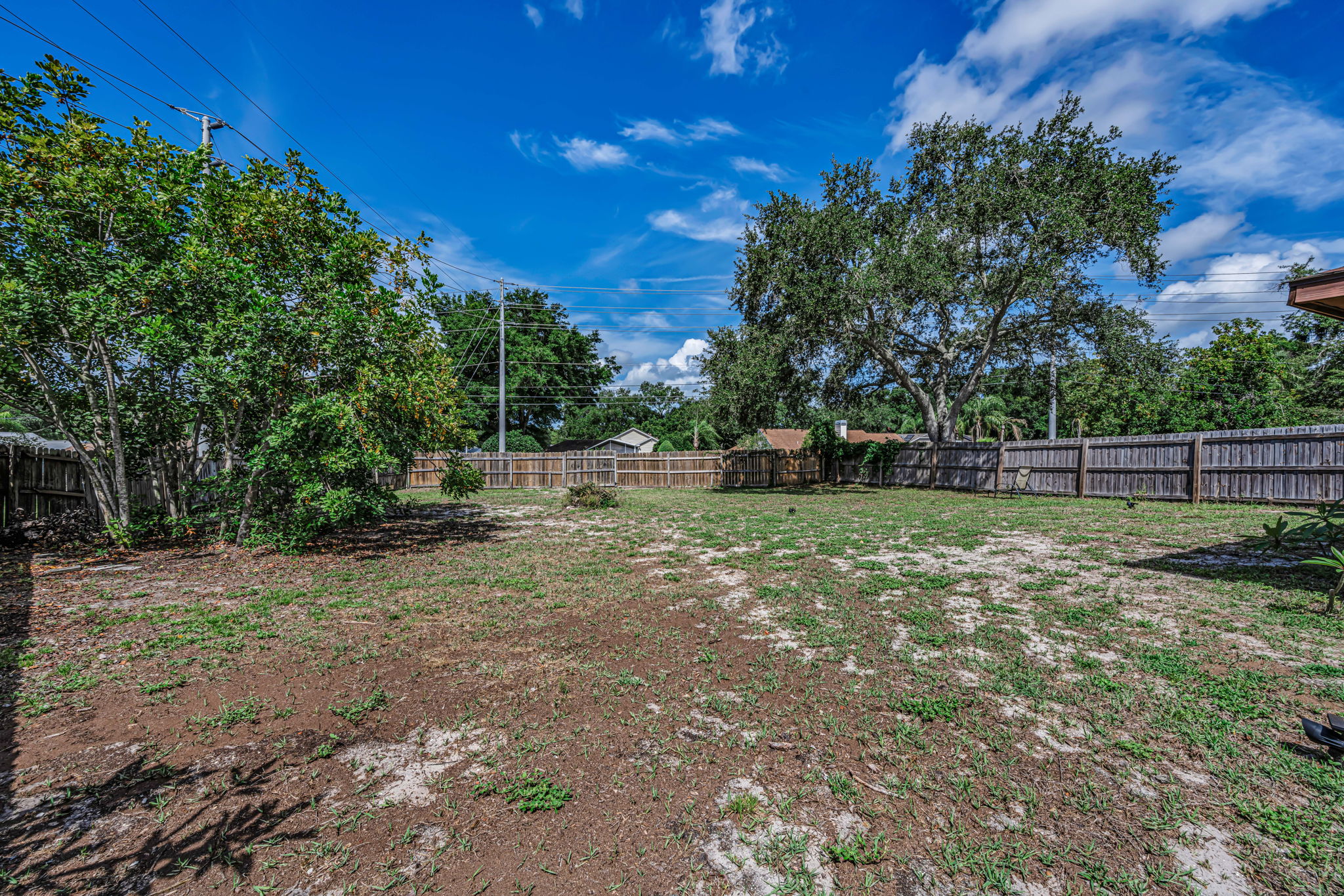 Backyard 2