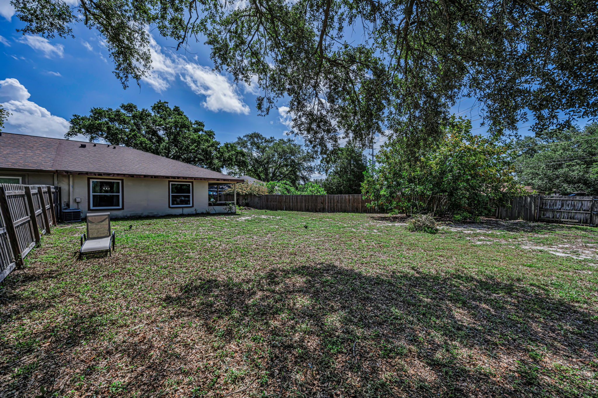 Backyard 4