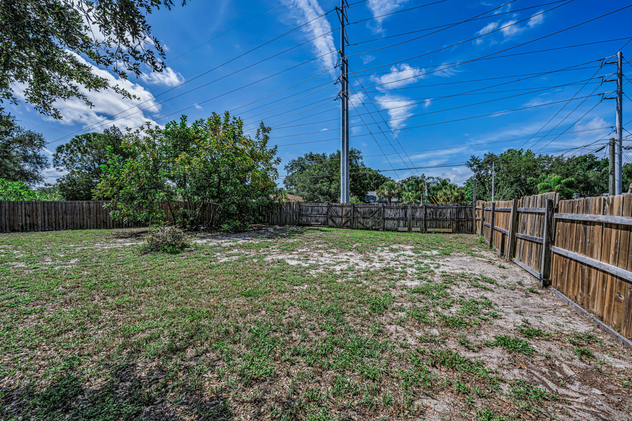 Backyard 5