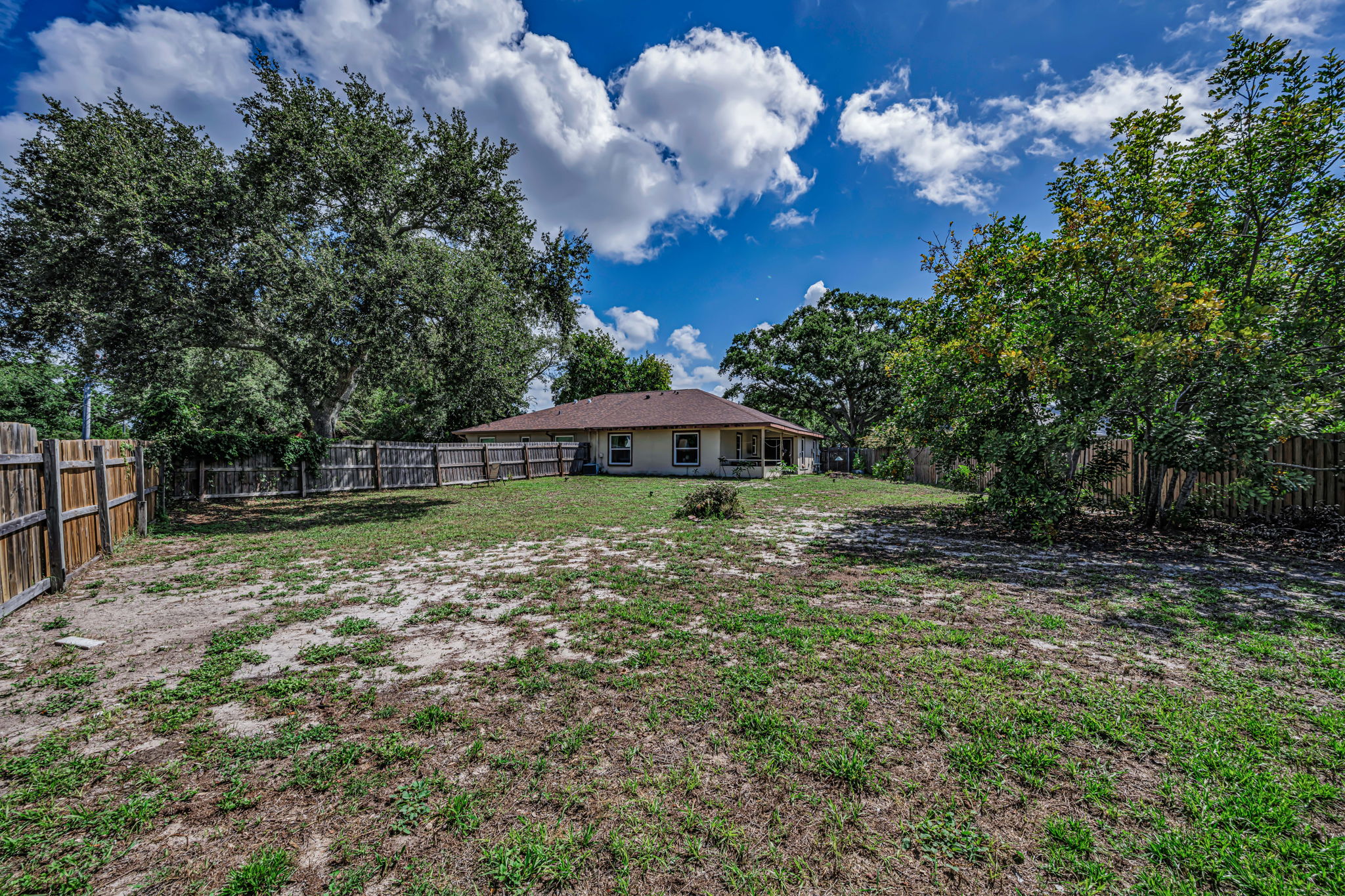 Backyard 6