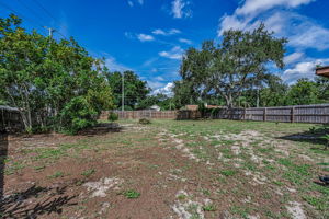 Backyard 2