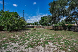 Backyard 3