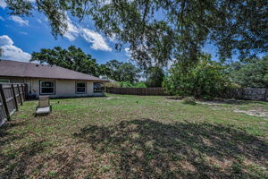 Backyard 4