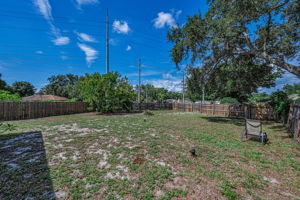 Backyard 7