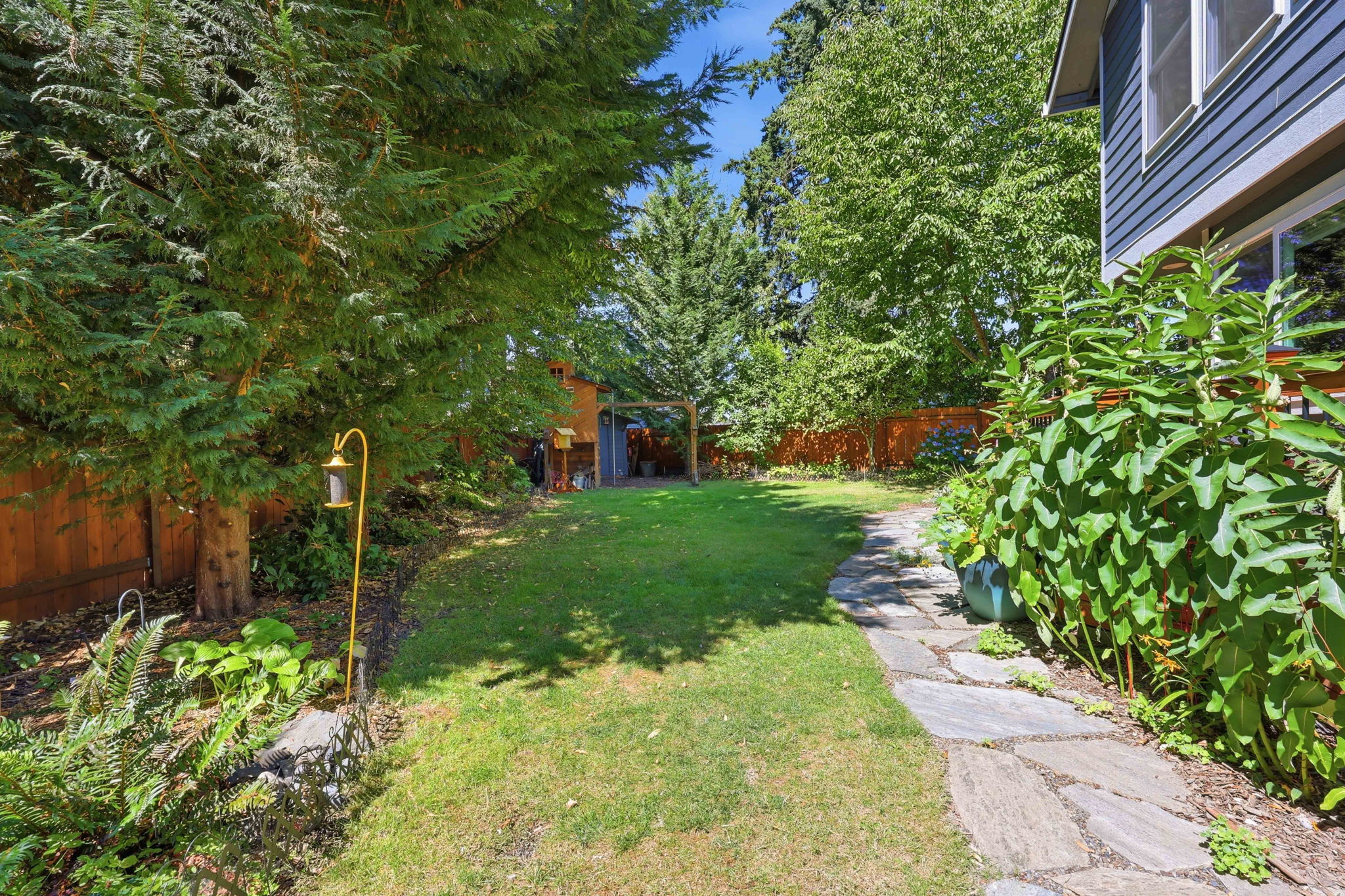  Photo 59