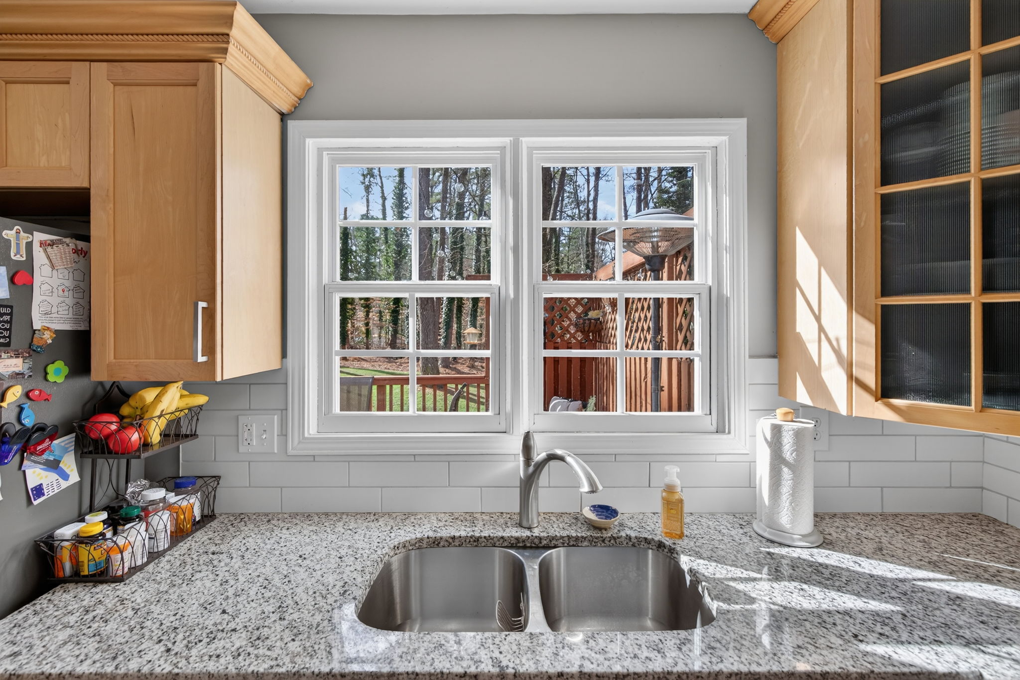 mppmedia2667bluebirdcir18