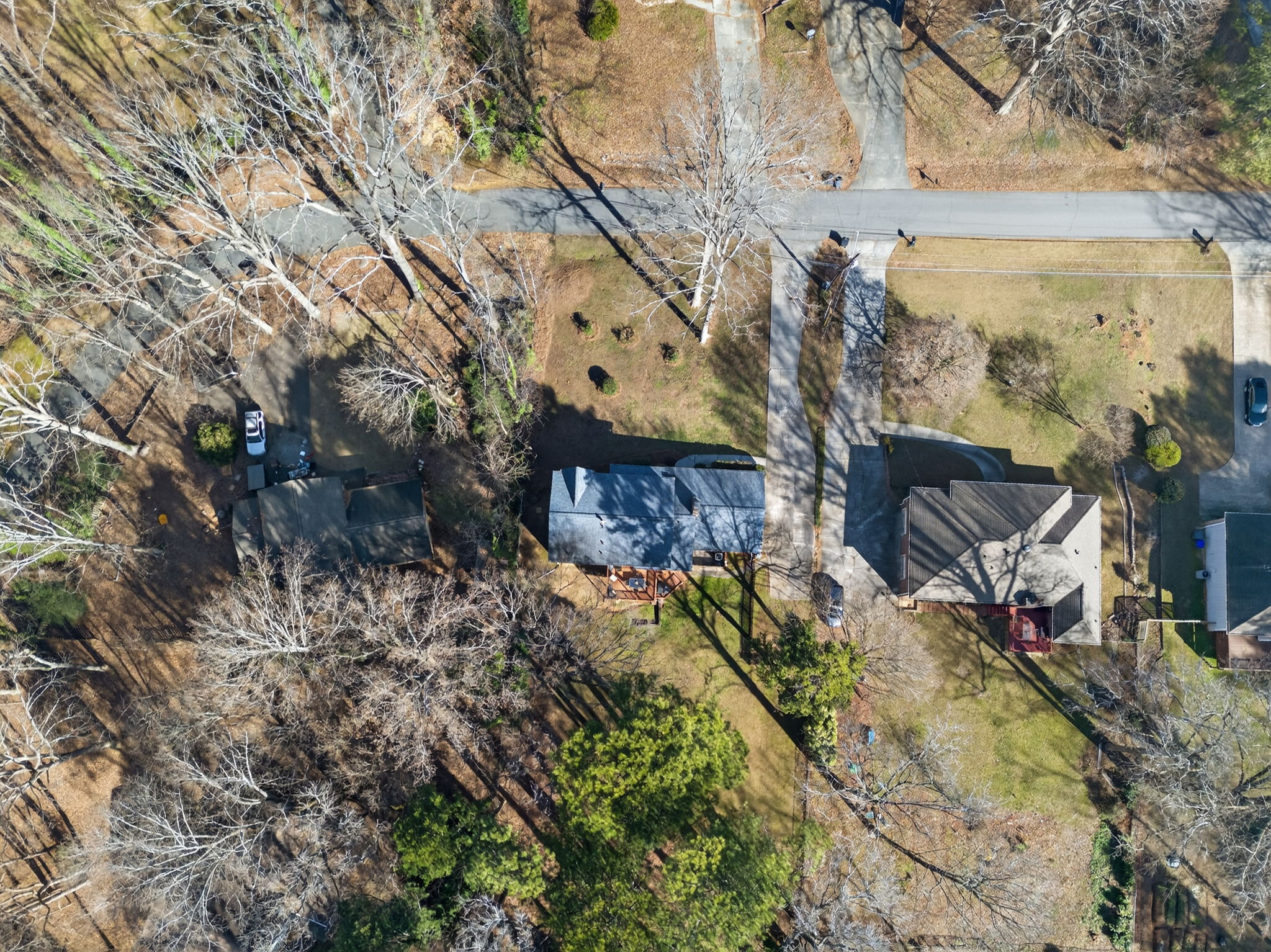 mppmedia2667bluebirdcir56