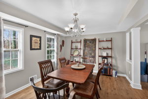 mppmedia2667bluebirdcir19