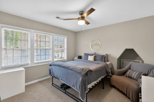 mppmedia2667bluebirdcir23