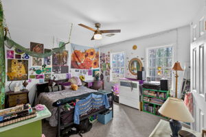 mppmedia2667bluebirdcir24