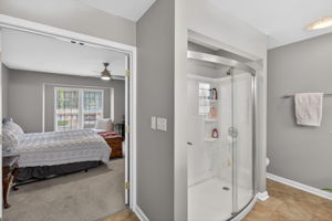 mppmedia2667bluebirdcir28