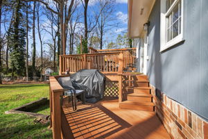 mppmedia2667bluebirdcir34