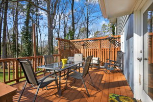 mppmedia2667bluebirdcir35