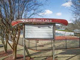 mppmedia2667bluebirdcir41