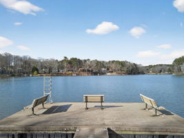 mppmedia2667bluebirdcir48