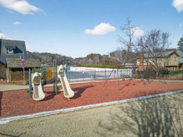 mppmedia2667bluebirdcir50